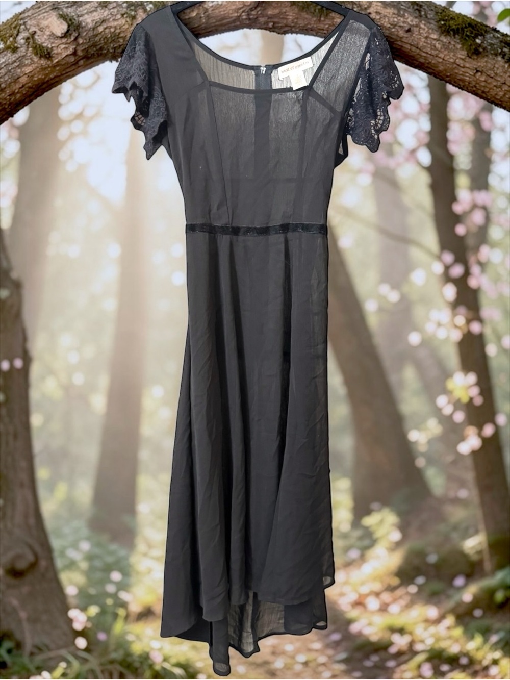 Band Of Gypsies Romantic Whimsigoth Black Sheer Lace Flutter Sleeves Dress Sz S